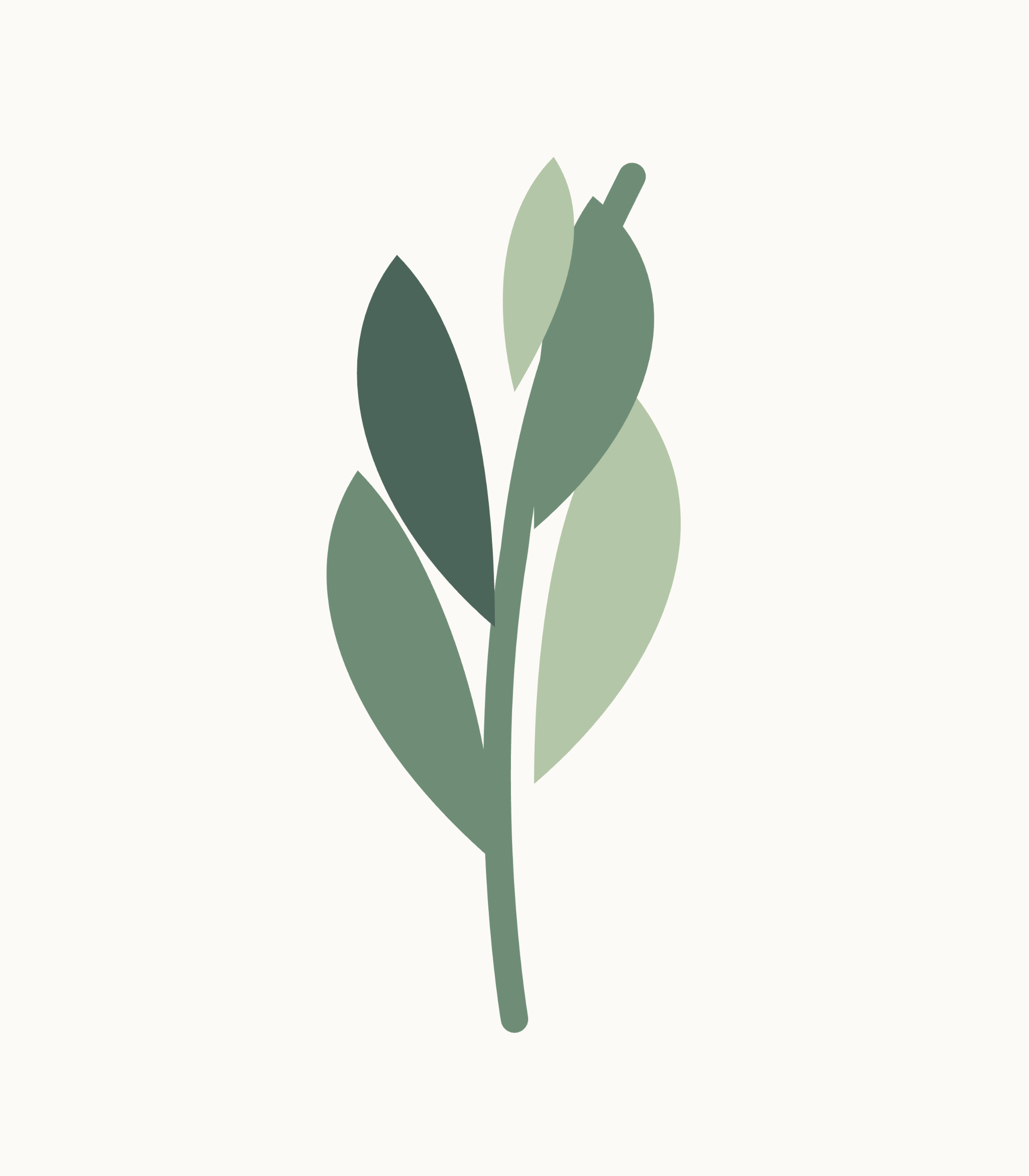 evolve-icon-full-colour-on-paper-2048